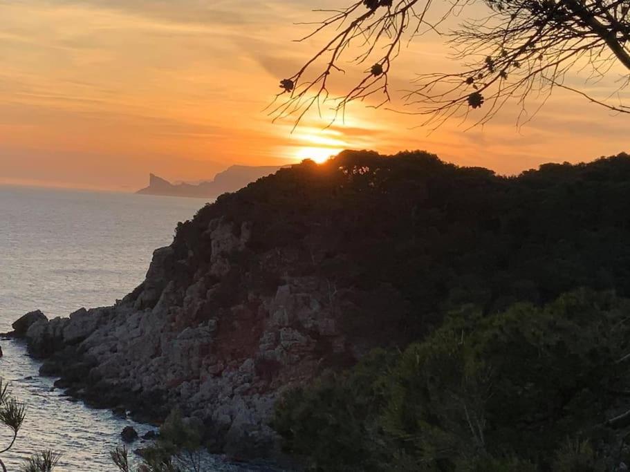 Athena Ohana, Les Pieds Dans L'Eau Bandol Ngoại thất bức ảnh